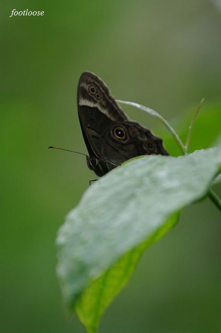20100506_035.jpg