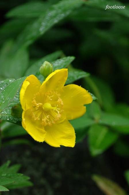 20100520_007.jpg