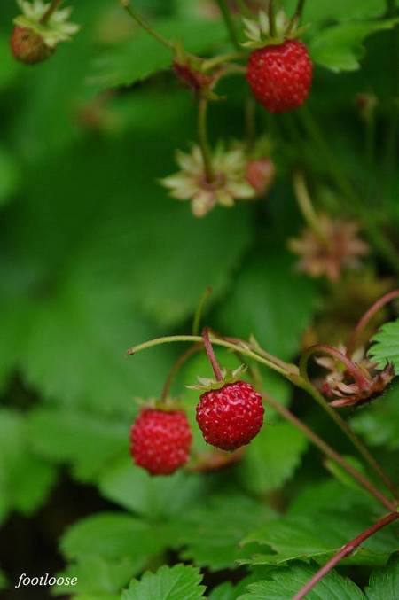 20100520_014.jpg