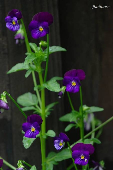 20100520_025.jpg