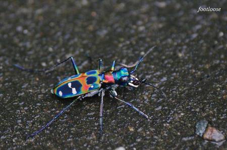 20100621_009.jpg