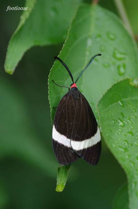 20100621_014.jpg