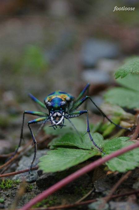 20100621_042.jpg