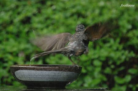 20100621_079.jpg
