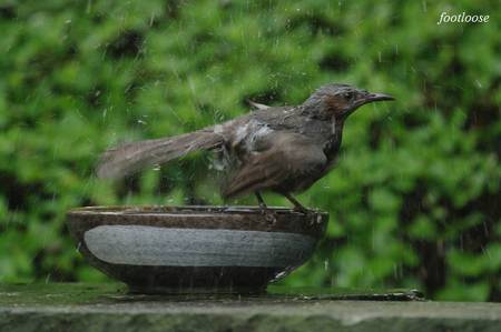 20100621_088.jpg