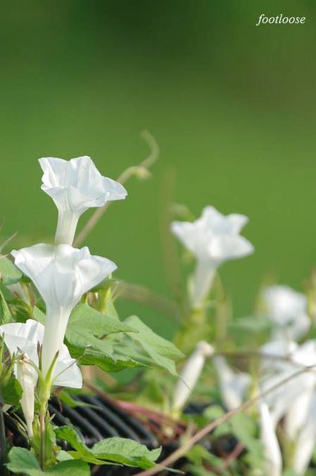 20100824_034.jpg