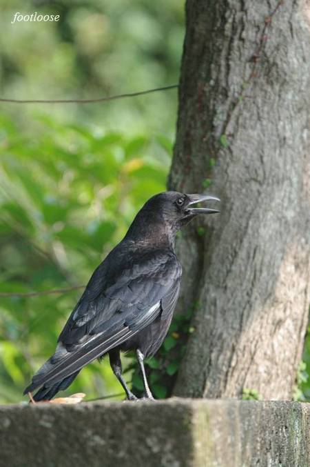 20100824_043.jpg