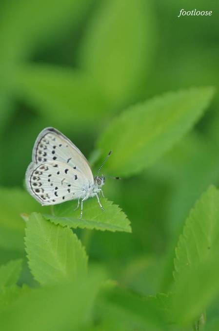 20100824_051.jpg