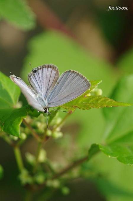 20100824_066.jpg