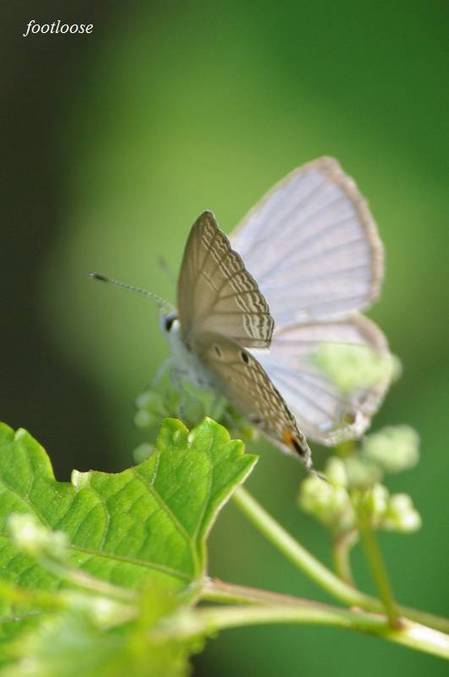 20100824_070.jpg