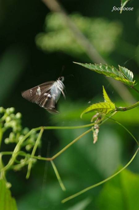 20100824_102.jpg