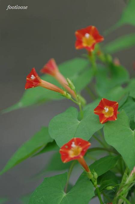 20100824_146.jpg