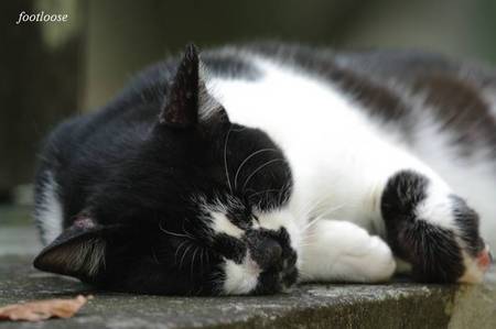 20100824_150.jpg