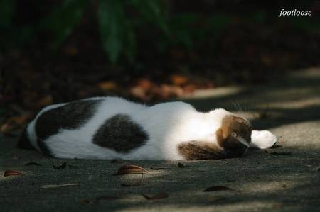 20100824_155.jpg