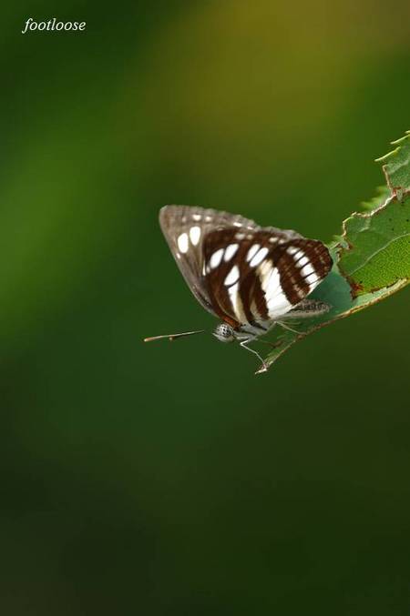 20100824_163.jpg