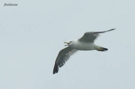 201008289_234.jpg