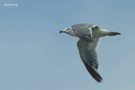 201008289_236.jpg