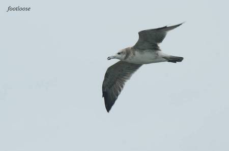 201008289_237.jpg