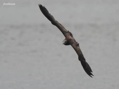 201008289_301.jpg