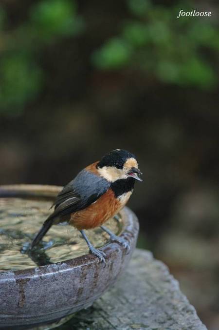 20100828_031.jpg