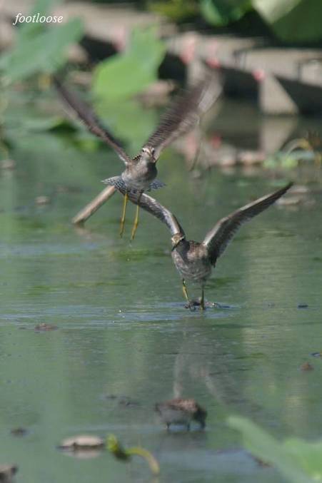 20100904_156.jpg
