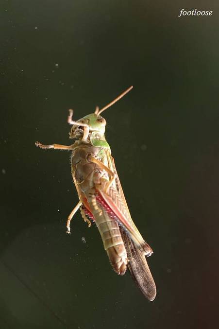 20100912_458.jpg