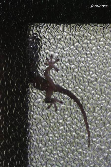 20100916_013.jpg