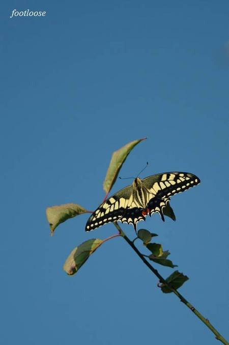 20100916_025.jpg