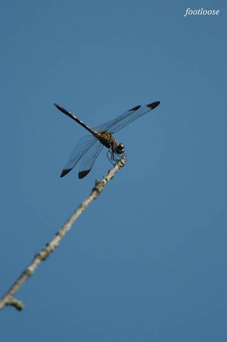 20100916_031.jpg