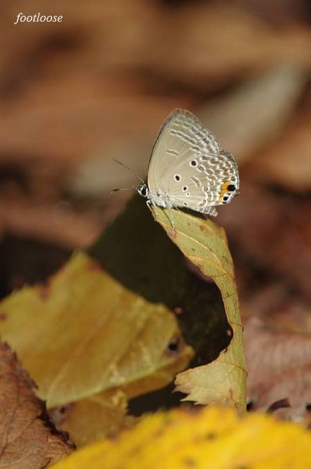 20100916_055.jpg