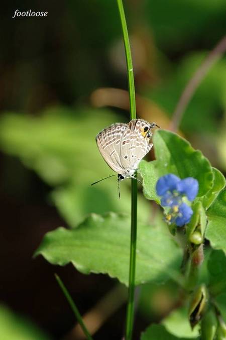 20100916_056.jpg