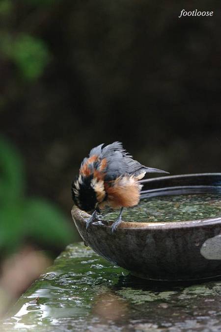 20100922_023.jpg
