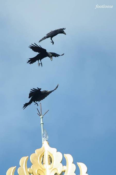 20100924_053.jpg