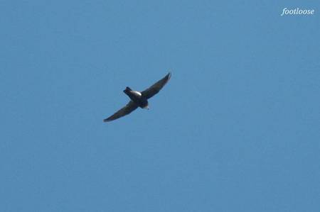 20100925_052.jpg