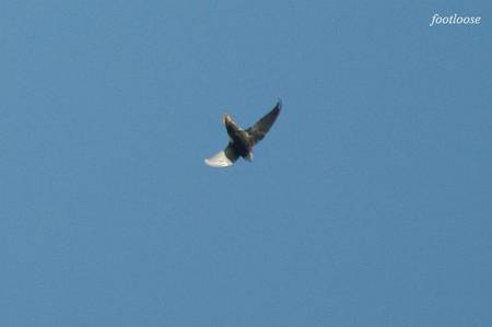 20100925_055.jpg