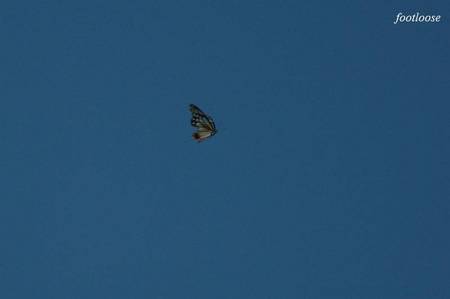 20100926_054.jpg