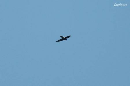 20100926_075.jpg