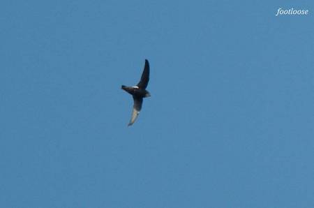 20100926_087.jpg