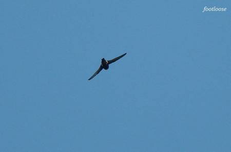 20100926_089.jpg