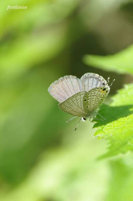 20100926_105.jpg