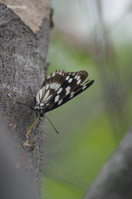 20100926_153.jpg