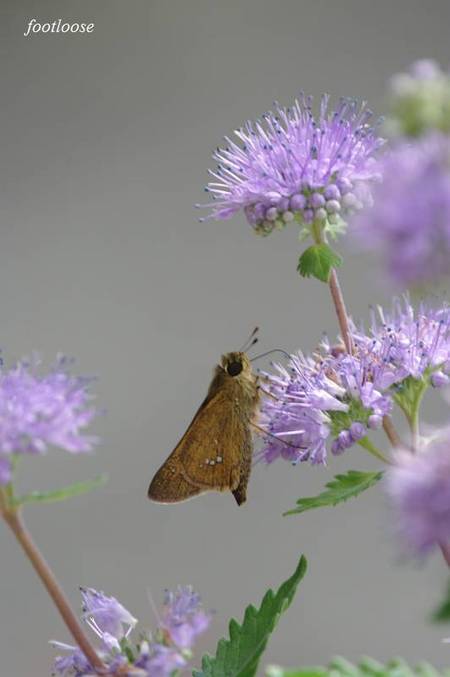 20100928_012.jpg
