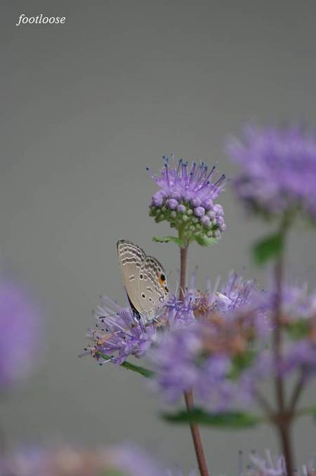 20100929_013.jpg