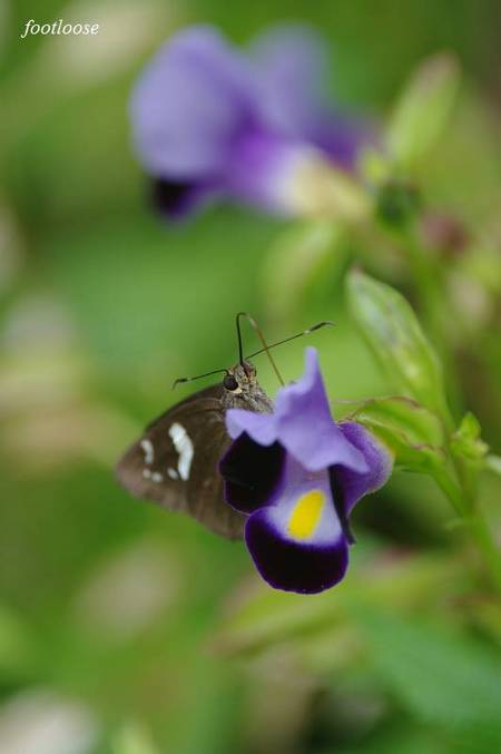 20100929_037.jpg