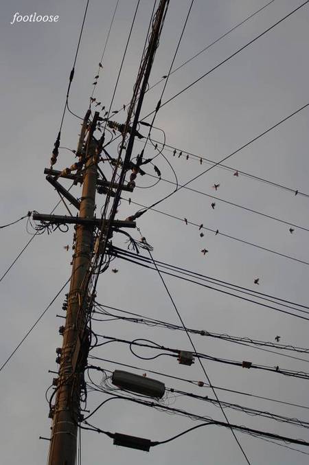 20100930_006.jpg
