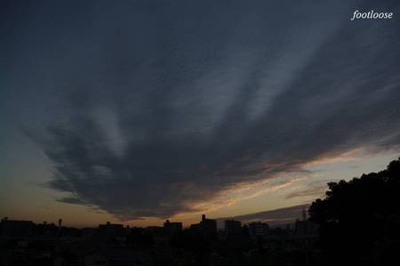 20101016_029.jpg