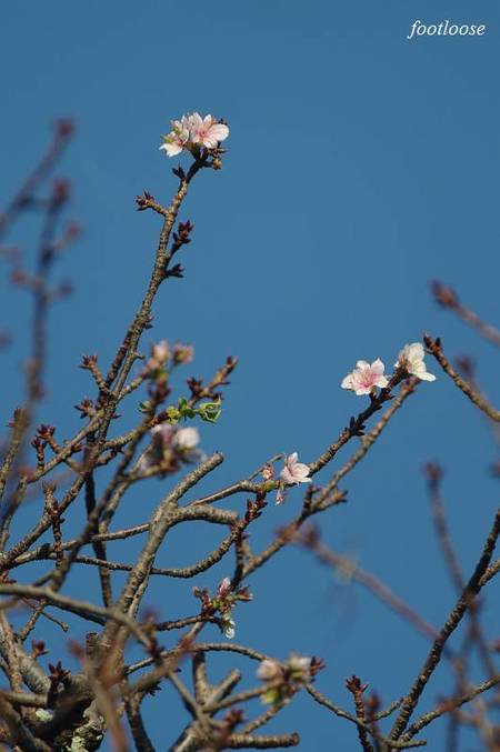 20101016_036.jpg