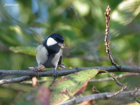 20101016_043x.jpg