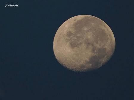 20101026_001x.jpg
