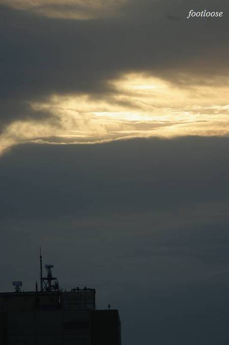 20101026_004.jpg